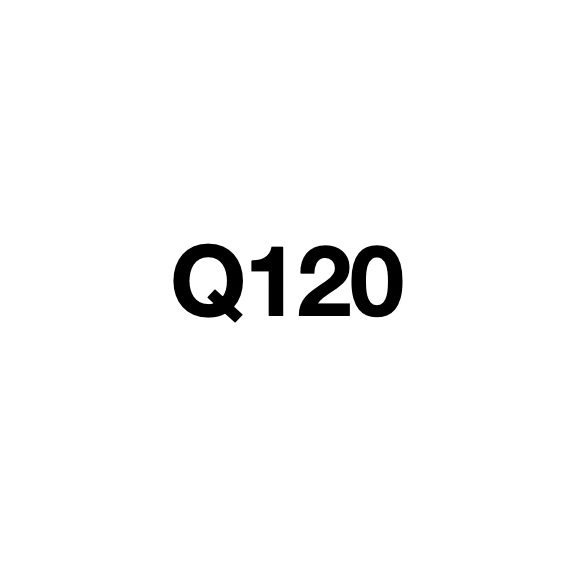 Q120 Smartwatch